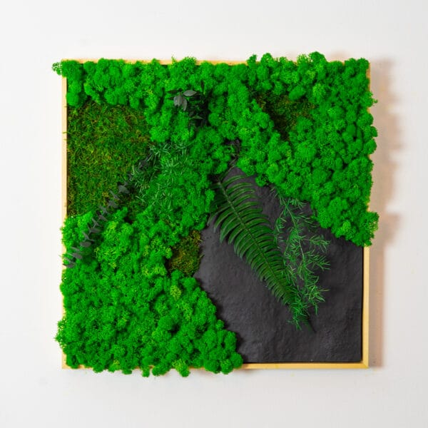 Tablou texturat piatră cu licheni și plante stabilizate 47x47cm - design industrial licheni verzi | WireTree